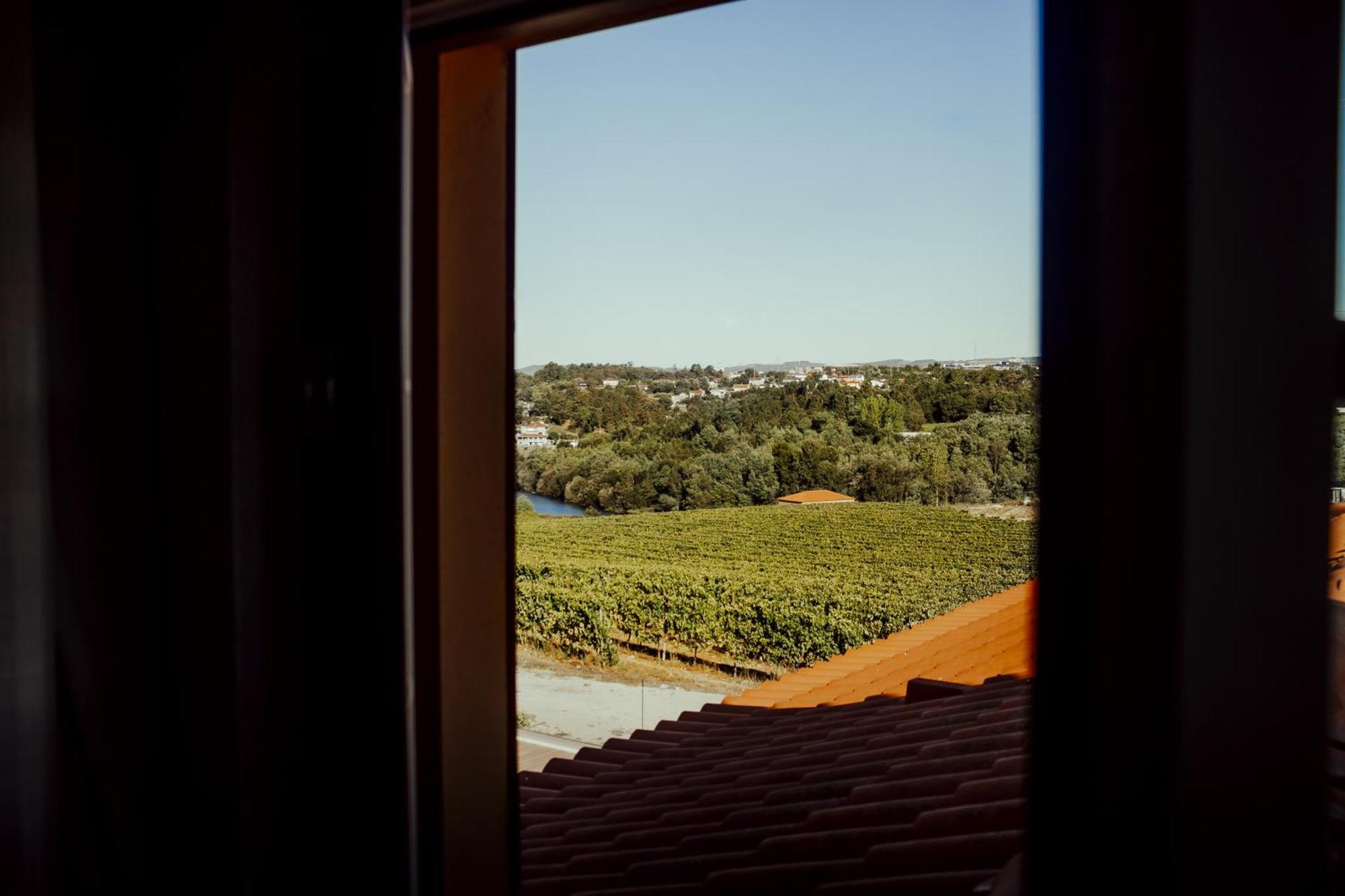 Quinta Das Areias - Solar Da Pena Villa Braga Kültér fotó