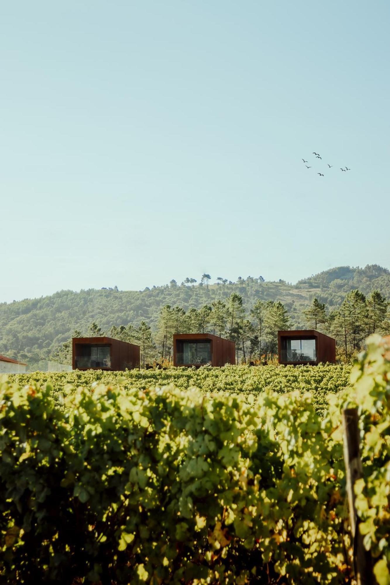 Quinta Das Areias - Solar Da Pena Villa Braga Kültér fotó